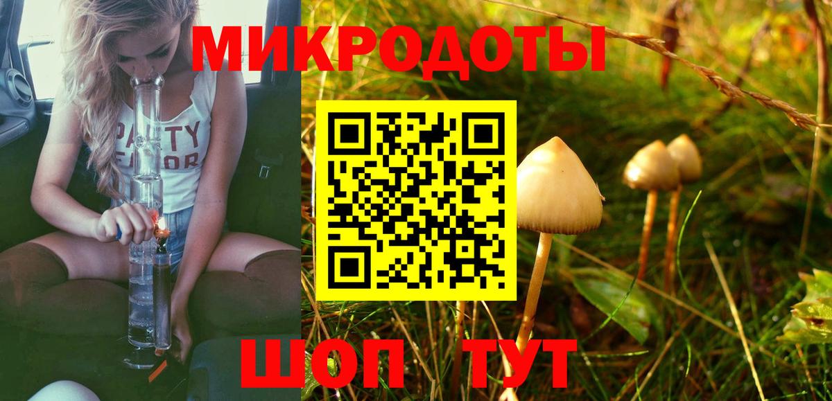 Псилоцибиновые грибы мицелий Маркс